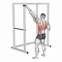 Alternating Bent Over Rowing with Bands