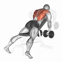 Bent Over Dumbbell Row (Pronated Grip)
