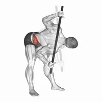 Bent waist twists with bar