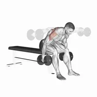 Birds sitting with dumbbells
