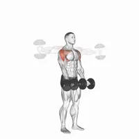 Circular Dumbbell Raises