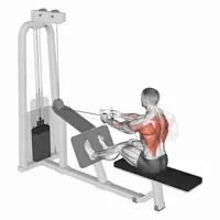 Close grip Neutral Horizontal Row on Pulley