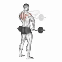 Close grip upright row with Z bar