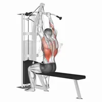 Closed Pronation Lat Pulldown on High Pulley