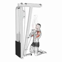 Closed Pulley Military Press