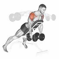 Decline Lateral Dumbbell Raises