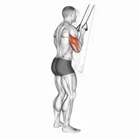 Downward extension with bands