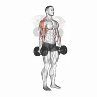 Dumbbell Lateral Shrugs
