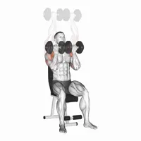 Dumbbell Supinated Military Press