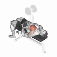 Dumbbell Supinated Press