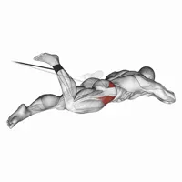 External Adductor Rotation with Band