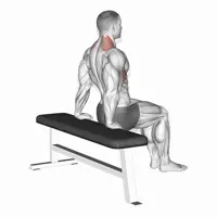 Free Shrinks on Bench
