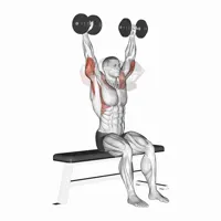 Front to Back Dumbbell Extension