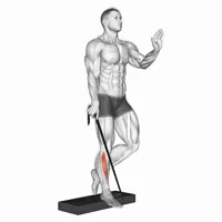 Front Isolated Calf Extension with Band