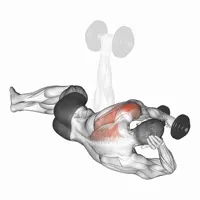 Front Lateral Dumbbell Raises