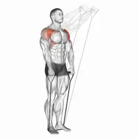 Frontal Lifts with Band