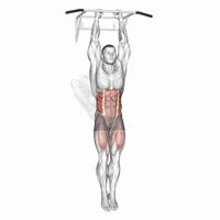 Elevaciones laterales de piernas colgado