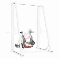 Hanging Supination Row