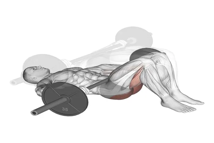 Hip thrust con barra