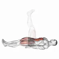 Hip raise with legs straight