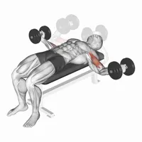 Horizontal Dumbbell Curl