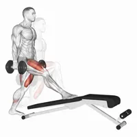 Incline lunge squat with dumbbells