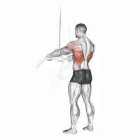 Inferior serratus muscles with pulley bar