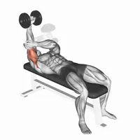 Internal Concentrated Horizontal Extension with Dumbbell