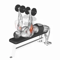Internal Horizontal Extensions with Dumbbells