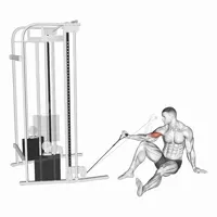 Isolated Front Curl in Supination on Low Pulley