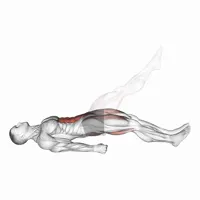 Isolated Horizontal Gait with Leg Extended