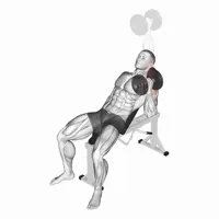 Isolated Incline Dumbbell Press