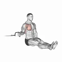 Isolated Internal Rotation on Pulley