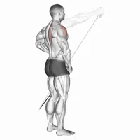 Isolated Lateral Lift with Band
