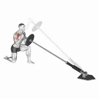 Isolated Press on Tip