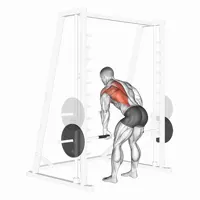 Isolated Pronated Row on Smith Machine