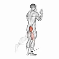 Isolated Rear Extension on Low Pulley