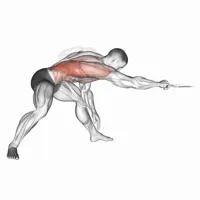 Isolated Rotation Row on Low Pulley