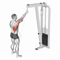 Isolated Serratus Muscles on Pulley