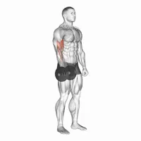 Isolated Supinated Dumbbell Curl