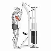 Isolated Vertical Extension in Pronation on High Pulley