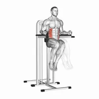 Lateral Crunch on support