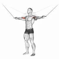 Lateral Curl in Supination with Pulley
