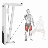 Lateral Pulley Lunge