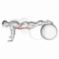 Leg raises on a Fitball