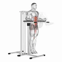 Leg raises with bent legs on support
