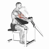 Neutral Scott Bench Curl with Pulley