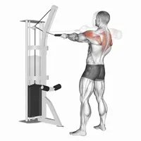 Overhead Pronated Pulley Row