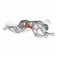 Plank with knees