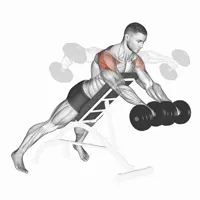 Pronated Decline Lateral Raises with Dumbbells